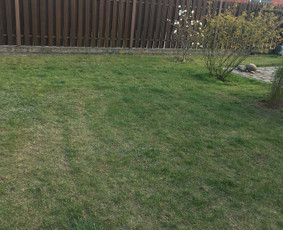 Vejos aeravimas - Gerbūvio ir arborizmo paslaugos - 2