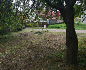 Gerbūvio ir arborizmo paslaugos / Laurynas / Darbų pavyzdys ID 1521501