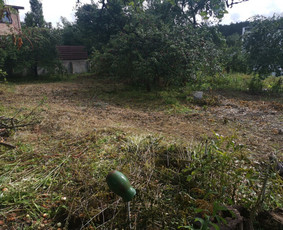 Gerbūvio ir arborizmo paslaugos / Laurynas / Darbų pavyzdys ID 1521503