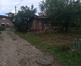 Gerbūvio ir arborizmo paslaugos / Laurynas / Darbų pavyzdys ID 1521507