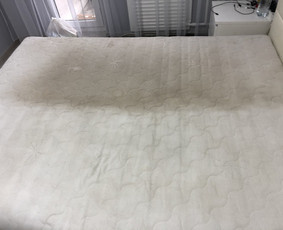 Kaina vienos gulimos vietos