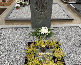 Antkapiniai elementai