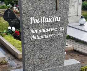 Antkapiniai elementai