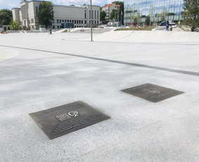 Bronzinė plaketė