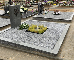 Antkapiniai elementai