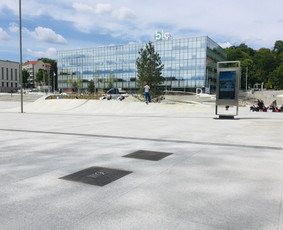 Bronzinė plaketė