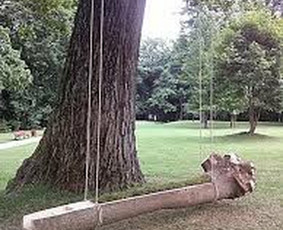 Skulptūros interjerui ir eksterjerui - Skulptūrų iš medžio gamyba - 3 Skulptūrų iš medžio gamyba - Skulptūros interjerui ir eksterjerui - 3