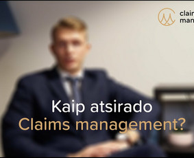 Draudimas, draudimo agentai - Žalų administravimas bei nuostolių vertinimas - 4