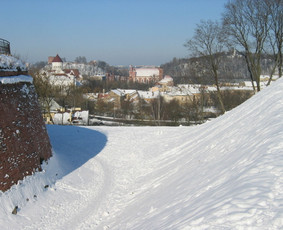 Gidė Milisenta / Milisenta Misevičiūtė / Darbų pavyzdys ID 1550269