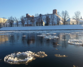 Gidė Milisenta / Milisenta Misevičiūtė / Darbų pavyzdys ID 1550271