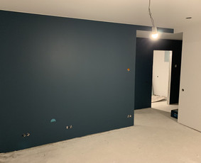 Gipso kartono montavimas. Glaistymas ir dažymas. / GipsPro / Darbų pavyzdys ID 1553267