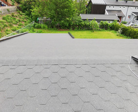 Plytelės , dažymas. / Vakaru statybos & renovacijos MB / Darbų pavyzdys ID 1553511