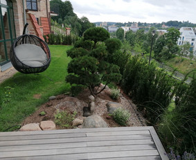 Kra&scaron;tovaizdžio projektavimas - Apželdinimo darbai. Apželdinimo planas, sąmata, pokalbis vie - 2