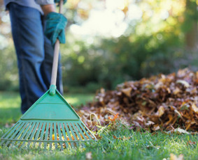 Šakų išvežimas - Statybinių ir remonto atliekų išvežimas - 4