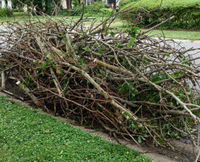 Šakų išvežimas - Statybinių ir remonto atliekų išvežimas - 3