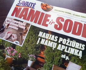 Kraštovaizdžio dizainas, laistymo sistemų ir vejos įrengimas / Magiški Sodai / Darbų pavyzdys ID 1563255