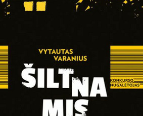 Mokymai, kursai, kalbos - Profesionalios lietuvių kalbos pamokos drauge su rašytoju! - 2