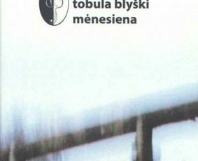 Mokymai, kursai, kalbos - Profesionalios lietuvių kalbos pamokos drauge su rašytoju! - 1
