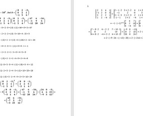 Individualios matematikos ir fizikos pamokos su nugalėtoju! / Marius Kerys / Darbų pavyzdys ID 1567305