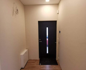 Vidaus apdailos darbai Kaune / Aleksandras / Darbų pavyzdys ID 1569717