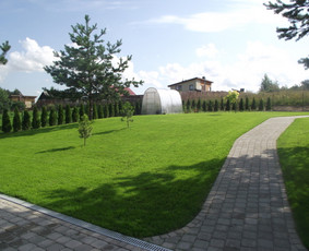 Trinkelių klojimas, aplinkos tvarkymas, Bobcat nuoma / Aplinkotvarka24 / Darbų pavyzdys ID 1576665