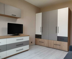 Nestandartinių korpusinių baldų gamyba - Spintų gamyba - 3 Spintų gamyba - Nestandartinių korpusinių baldų gamyba - 3