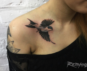 Tatuiruotės Kaune. Portretai Paveikslai / Rytis Songaila / Darbų pavyzdys ID 1590712