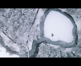 Renginių, įmonių švenčių, konferencijų filmavimas, dronas. / ARTi Production / Darbų pavyzdys ID 1596137