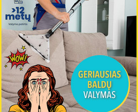 #1socialinių tinklų marketingas Facebook, Instagram, reklama / Austė Lapė / Darbų pavyzdys ID 1598785
