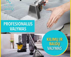 #1socialinių tinklų marketingas Facebook, Instagram, reklama / Austė Lapė / Darbų pavyzdys ID 1598787