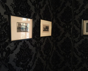 Black velvet tapetai, Damask rastas, isklijuotas tualetas, santechnika su porceliano apdaila, pakabinti veidrodis/paveikslai, juodo marmuro kriaukles stalvirsis ir antikvarinis unitazas