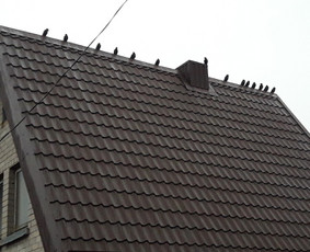 Dengiam stogus.senų stogų remontas ir renovacija.,pakalimai. / Stogų remontas.montavimas / Darbų pavyzdys ID 1598989