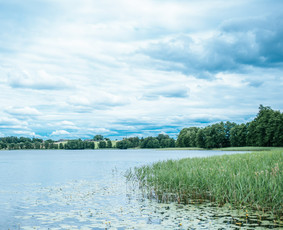 Kaimo turizmo sodyba / Genė Munikienė / Darbų pavyzdys ID 1602971