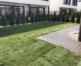 Apleistų sklypų tvarkymas - Aplinkos Apželdinimas, Vejos-laistymo Sistemos Įrengimas - 3