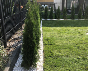 Aplinkos Apželdinimas, Vejos-laistymo Sistemos Įrengimas / Eirimas / Darbų pavyzdys ID 1603543