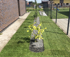 Augalų ir medelių sodinimas - Aplinkos Apželdinimas, Vejos-laistymo Sistemos Įrengimas - 2