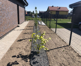Augalų ir medelių sodinimas - Aplinkos Apželdinimas, Vejos-laistymo Sistemos Įrengimas - 1