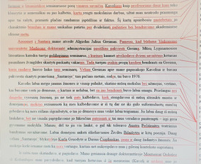 Straipsnių redagavimas - Profesionalus tekstų redagavimas - 2