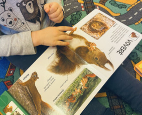 Sveikata, gydymas - Klinikinė logopedė, specialioji pedagogė - 4