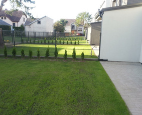 Vejos priežiūra, įrengimas - Vejos aeravimas, želdinimas, pjovimas, kerpa gyvatvores - 4