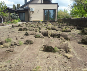 Vejos priežiūra, įrengimas - Vejos aeravimas, želdinimas, pjovimas, kerpa gyvatvores - 3