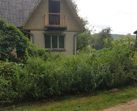 Aeravimas (skarifikavimas ) Žolės Pjovimas, / SODO DARBAI / Darbų pavyzdys ID 1616557