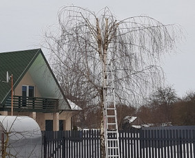 Aeravimas (skarifikavimas ) Žolės Pjovimas, - Apleistų sklypų tvarkymas - 2 Apleistų sklypų tvarkymas - Aeravimas (skarifikavimas ) Žolės Pjovimas, - 2