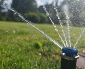 Vejos įrengimas, laistymo, apšvietimo sistemos / VIP Sodas, MB / Darbų pavyzdys ID 1618203