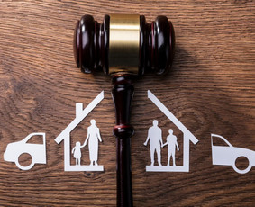 Šeimos teisės paslaugos - Profesionalios teisinės paslaugos / Legal services - 1