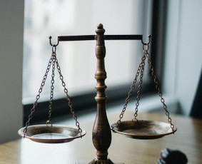 Konsultacijos NT įteisinimo klausimais - Profesionalios teisinės paslaugos / Legal services - 1