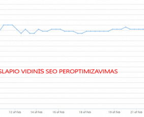 Seo Paslaugos - Nemokama Konsultacija / Tomas Valiūnas / Darbų pavyzdys ID 1632289