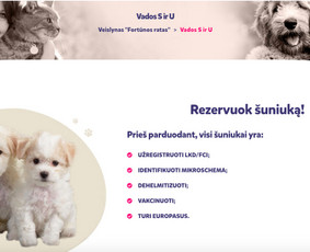 #1 Internetinių Svetainių ir Parduotuvių Kūrimas (seo/ads) / Svetainių kūrimas ir reklama / Darbų pavyzdys ID 1635709