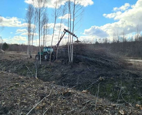 Krūmu kirtimas apleistu plotu tvarkymas - Šakų smulkinimas - 1 Šakų smulkinimas - Krūmu kirtimas apleistu plotu tvarkymas - 1