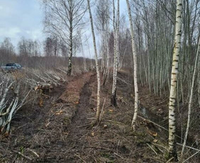 Krūmu kirtimas apleistu plotu tvarkymas - Šakų smulkinimas - 2 Šakų smulkinimas - Krūmu kirtimas apleistu plotu tvarkymas - 2